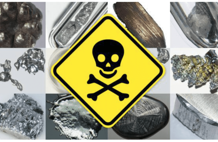 Take Control of Your Health at Home in Boca Raton – Know how Heavy Metals Affect You